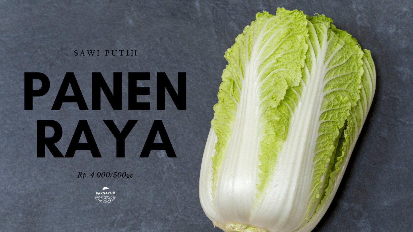 Futurelife-home2-slideshow